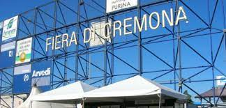 SALONS DE CREMONA